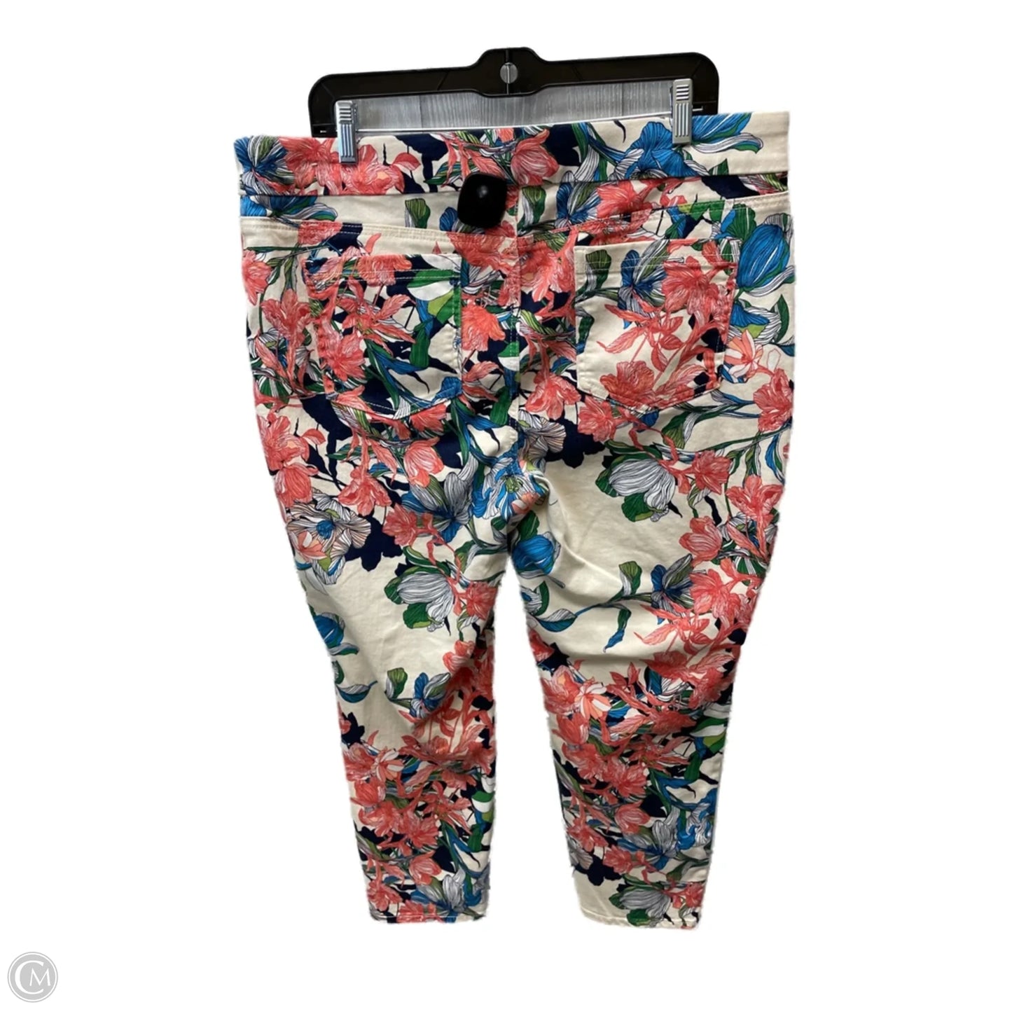 Pants Leggings By Chicos In Floral Print, Size: 16