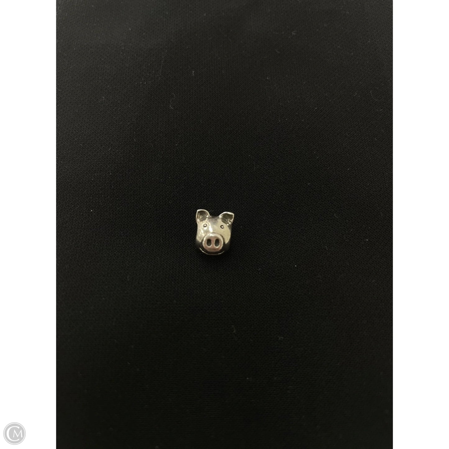 Jewelry Charm By Pandora