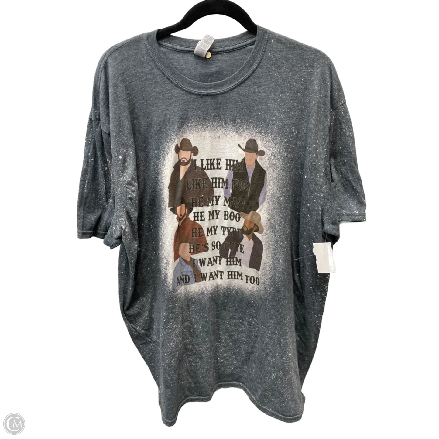Top Short Sleeve By Gildan In Grey, Size: 2x