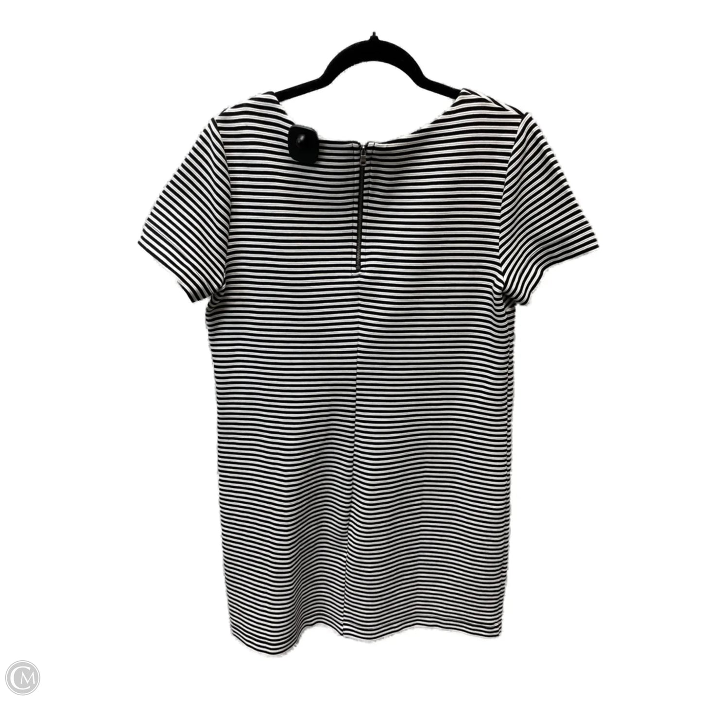 Dress Casual Short By Splendid In Striped Pattern, Size: L