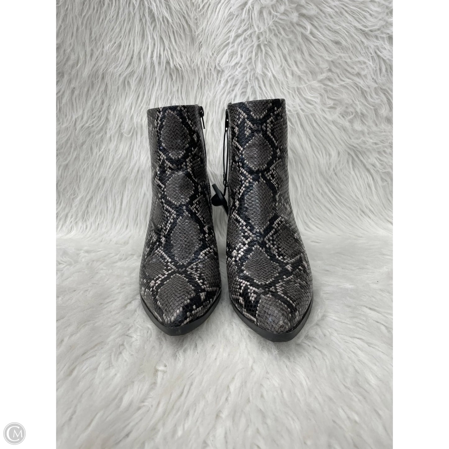Boots Ankle Heels By Madden Girl In Snakeskin Print, Size: 10