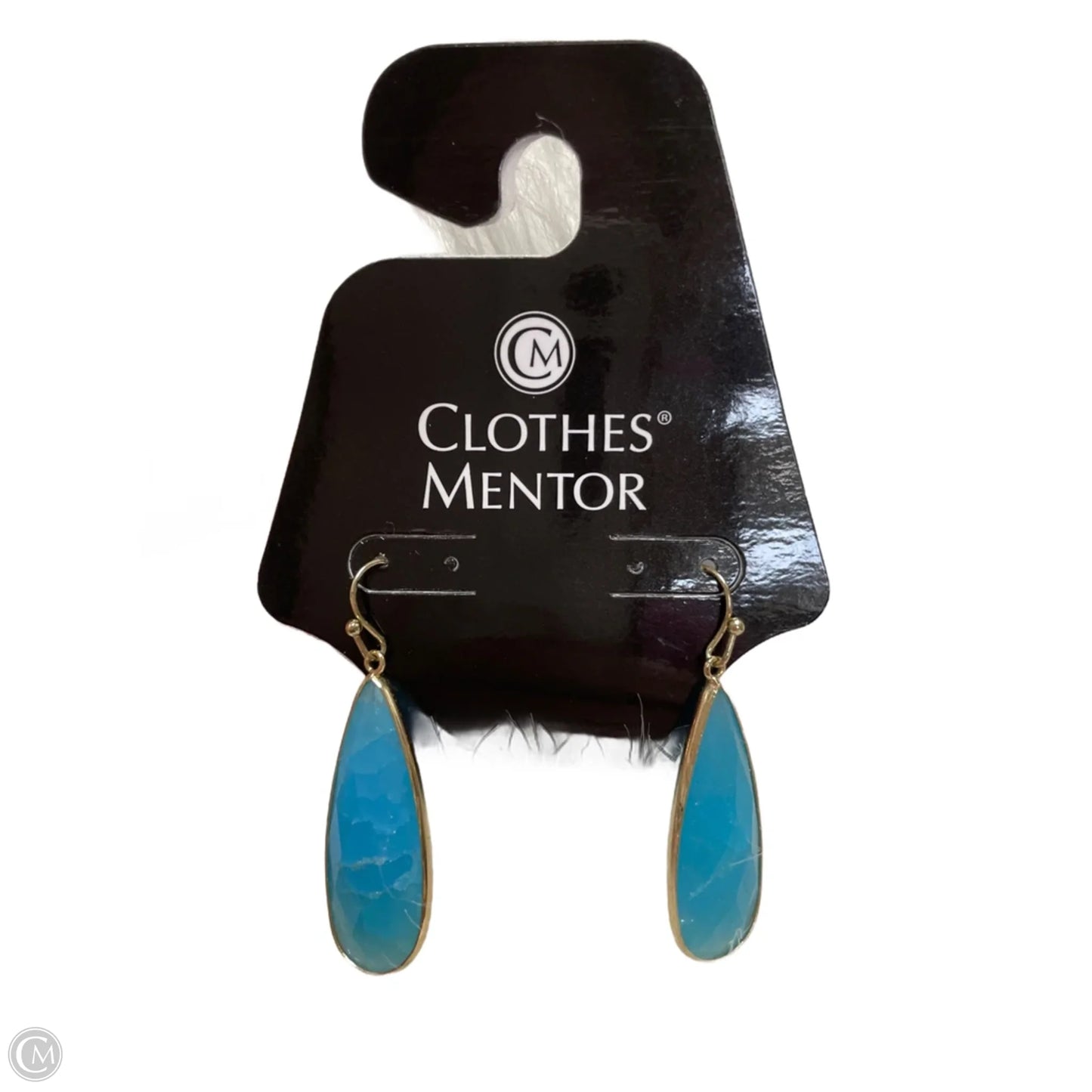 Earrings Dangle/drop By Clothes Mentor