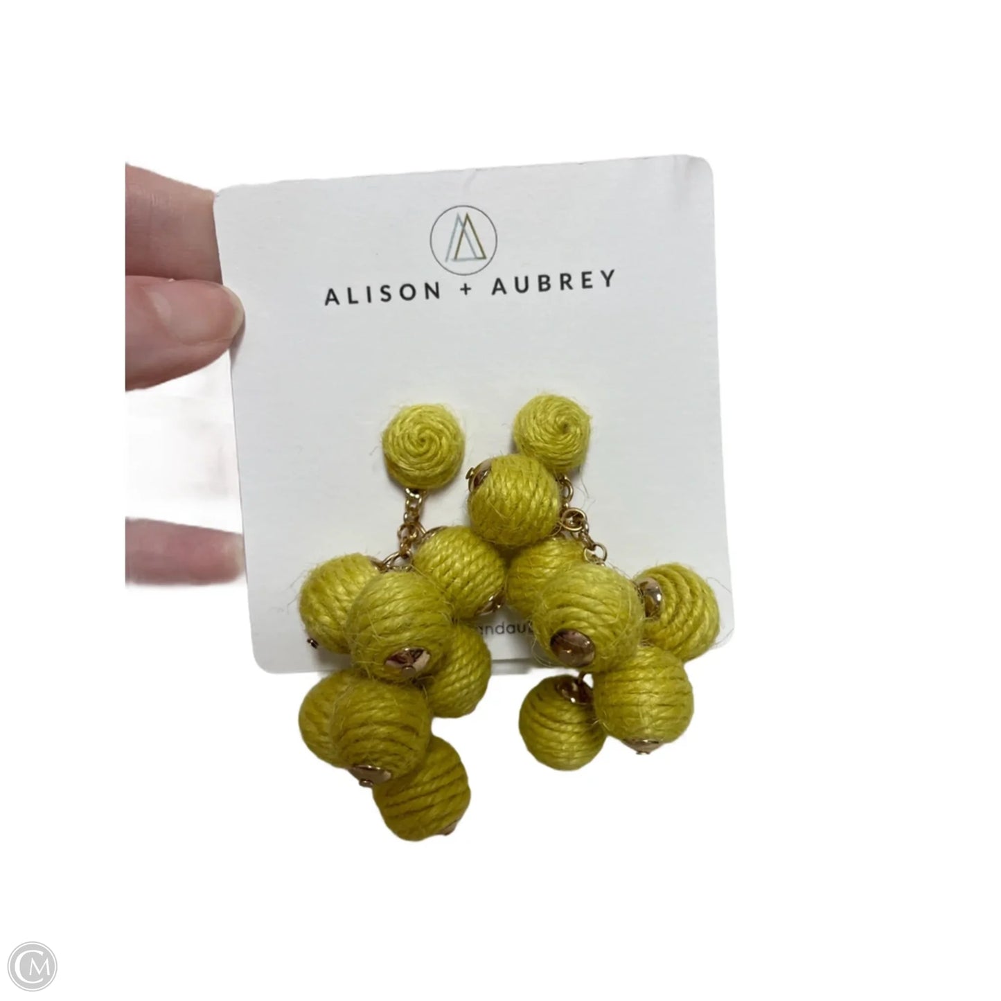 Earrings Dangle/drop By Clothes Mentor