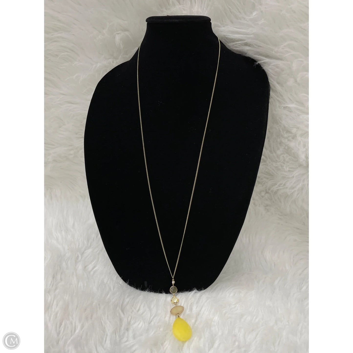 Necklace Pendant By Clothes Mentor