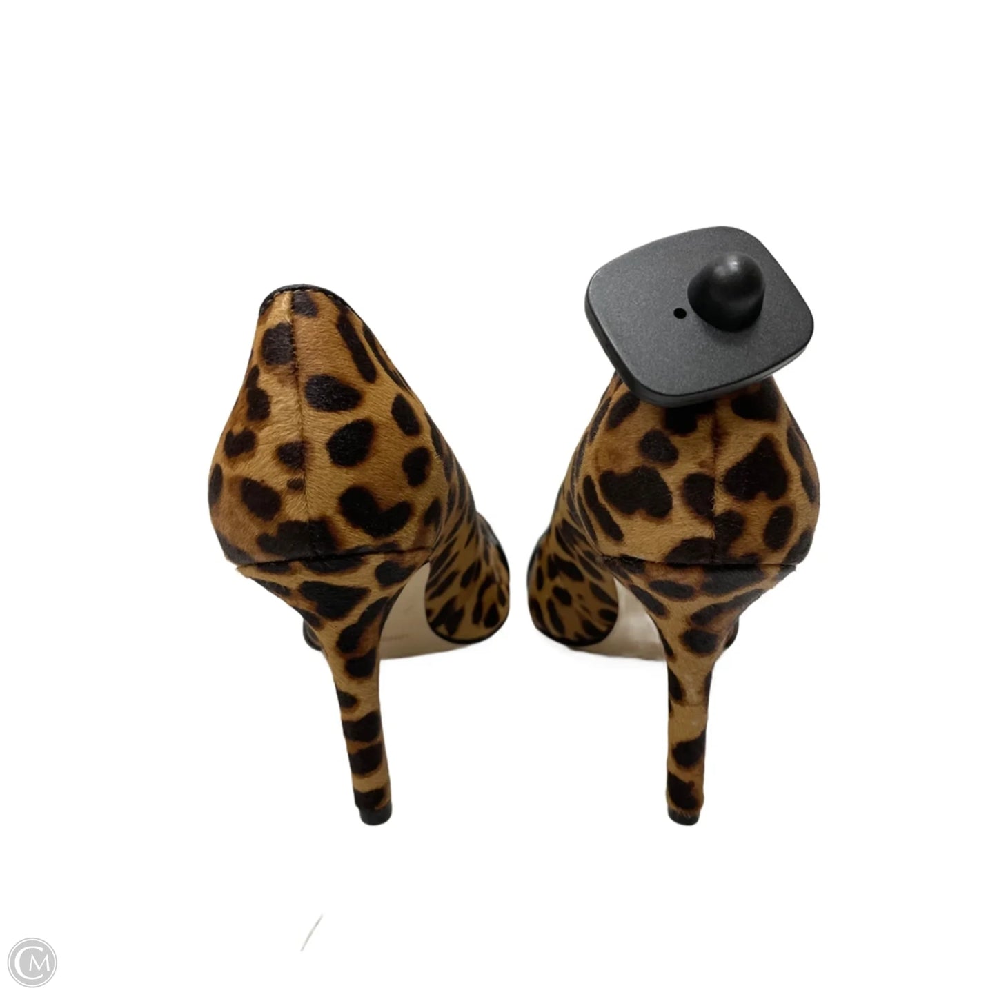 Shoes Heels Stiletto By Nine West In Animal Print, Size: 9.5