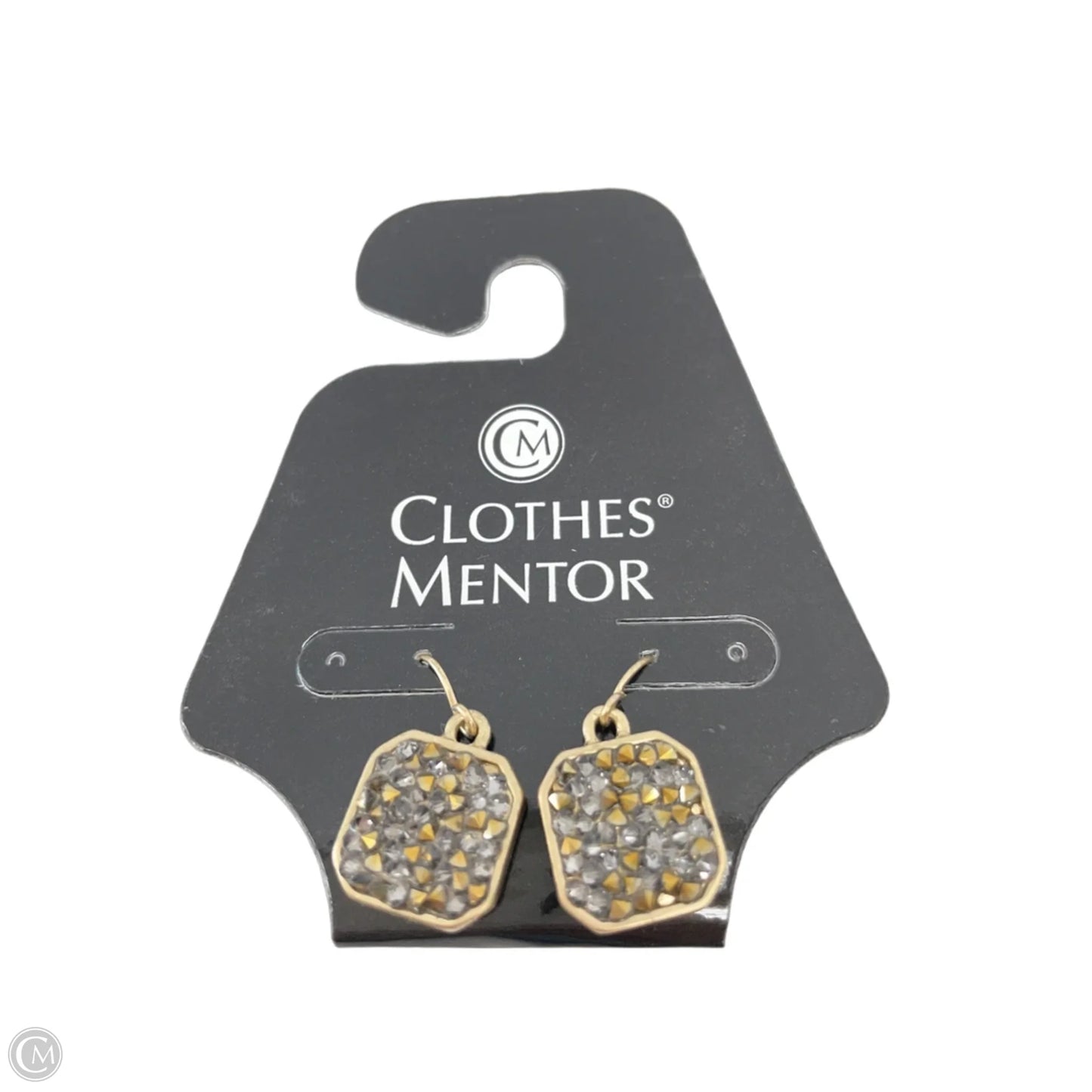 Earrings Dangle/drop By Clothes Mentor