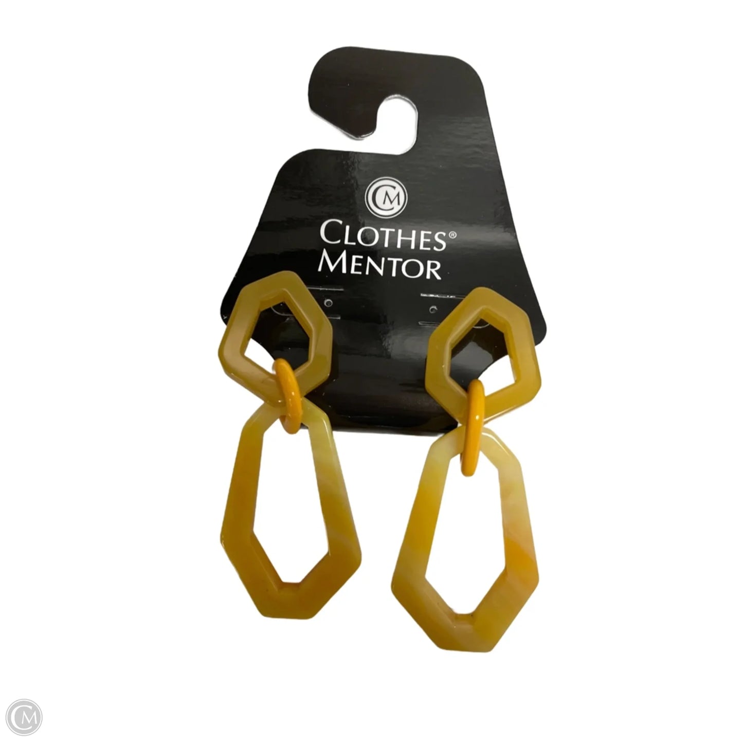 Earrings Dangle/drop By Clothes Mentor