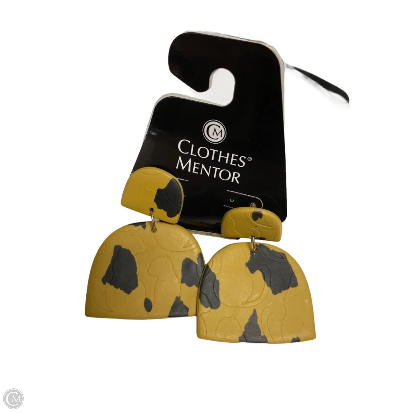 Earrings Dangle/drop By Clothes Mentor