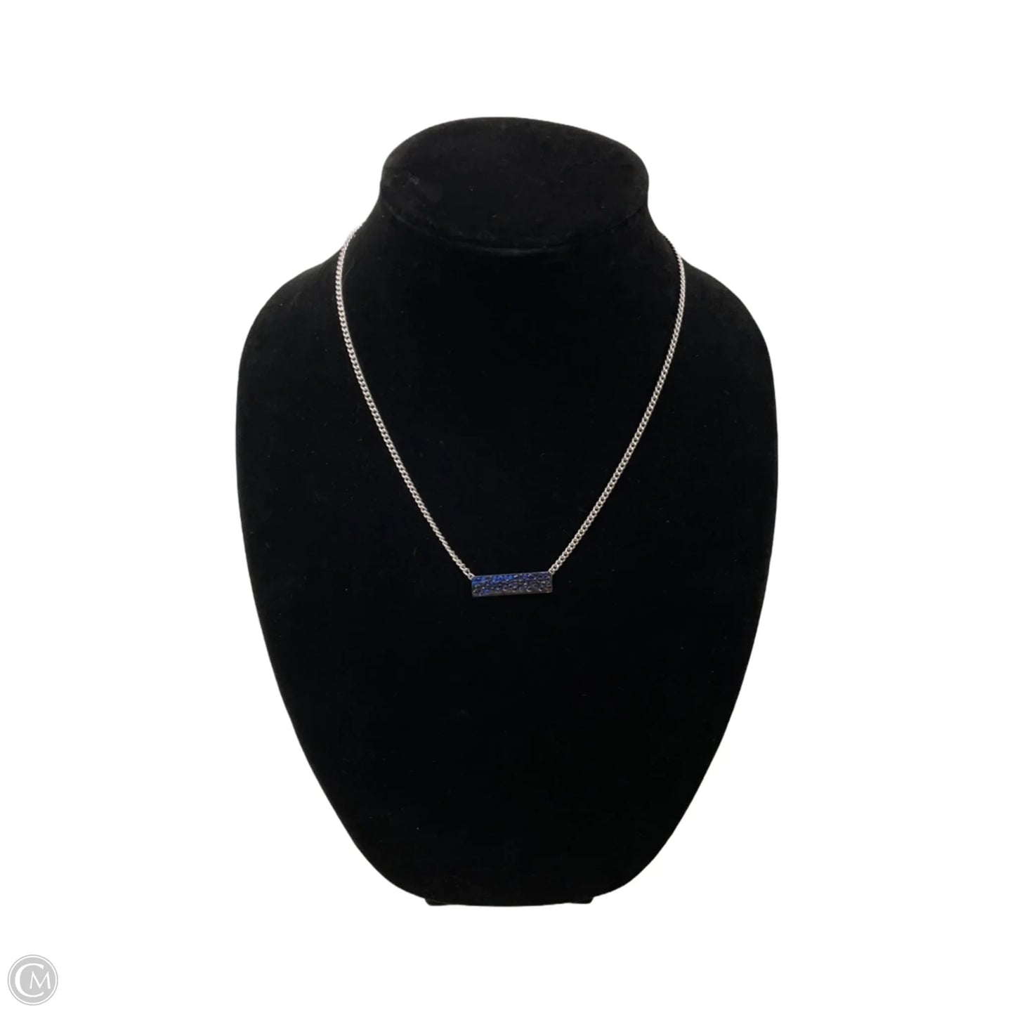 Necklace Chain By Banana Republic