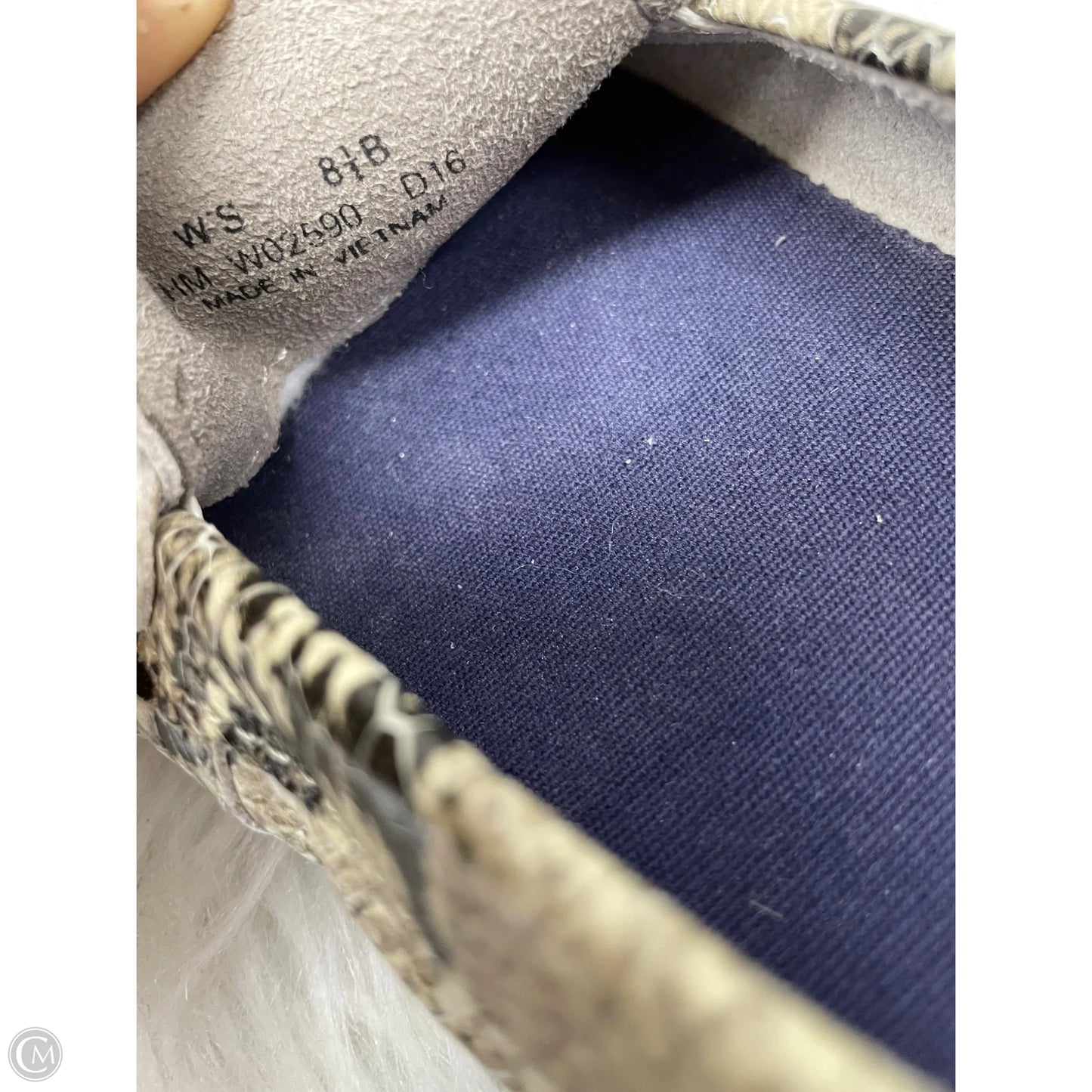 Shoes Flats By Cole-haan In Snakeskin Print, Size: 8.5