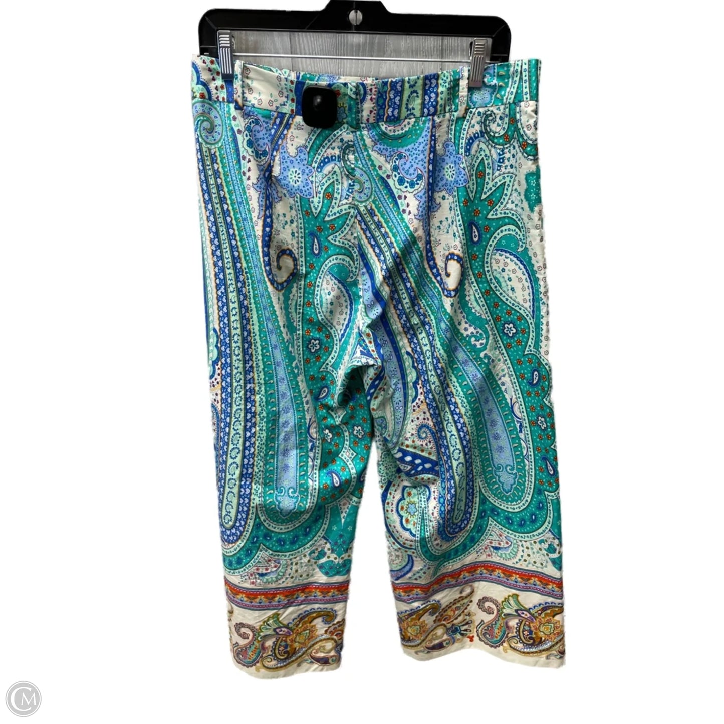 Pants Cropped By Zara In Paisley Print, Size: 10