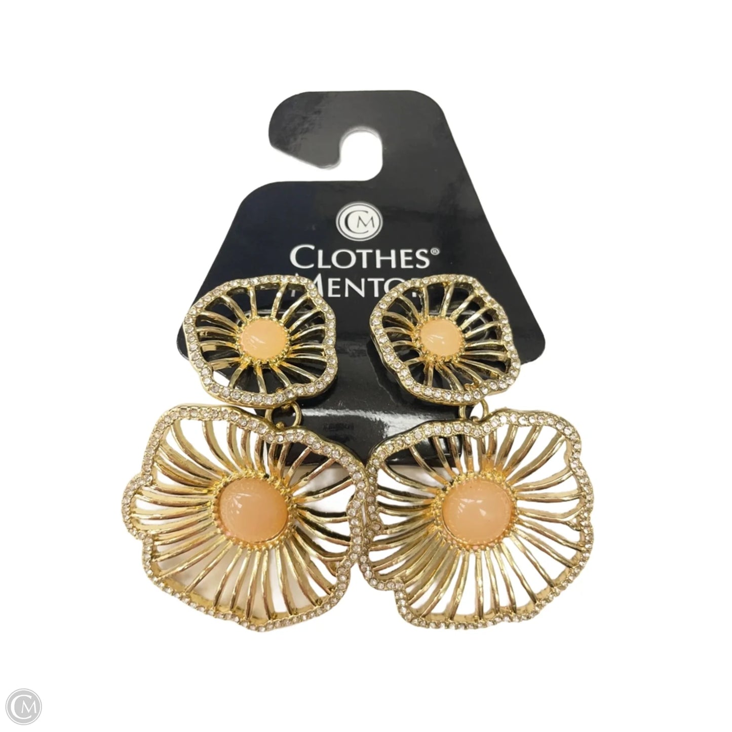 Earrings Dangle/drop By Clothes Mentor