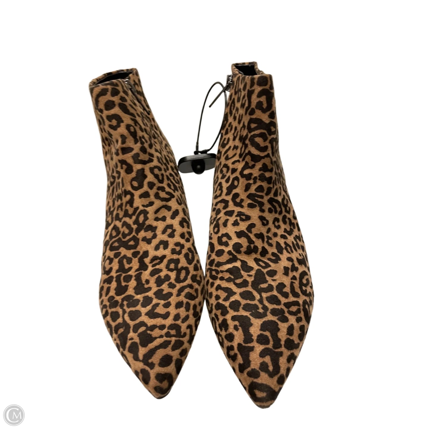 Boots Ankle Heels By Circus By Sam Edelman In Leopard Print, Size: 8