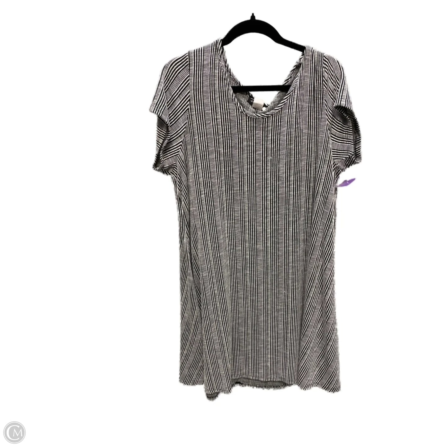 Dress Casual Short By Clothes Mentor In Striped Pattern, Size: 3x