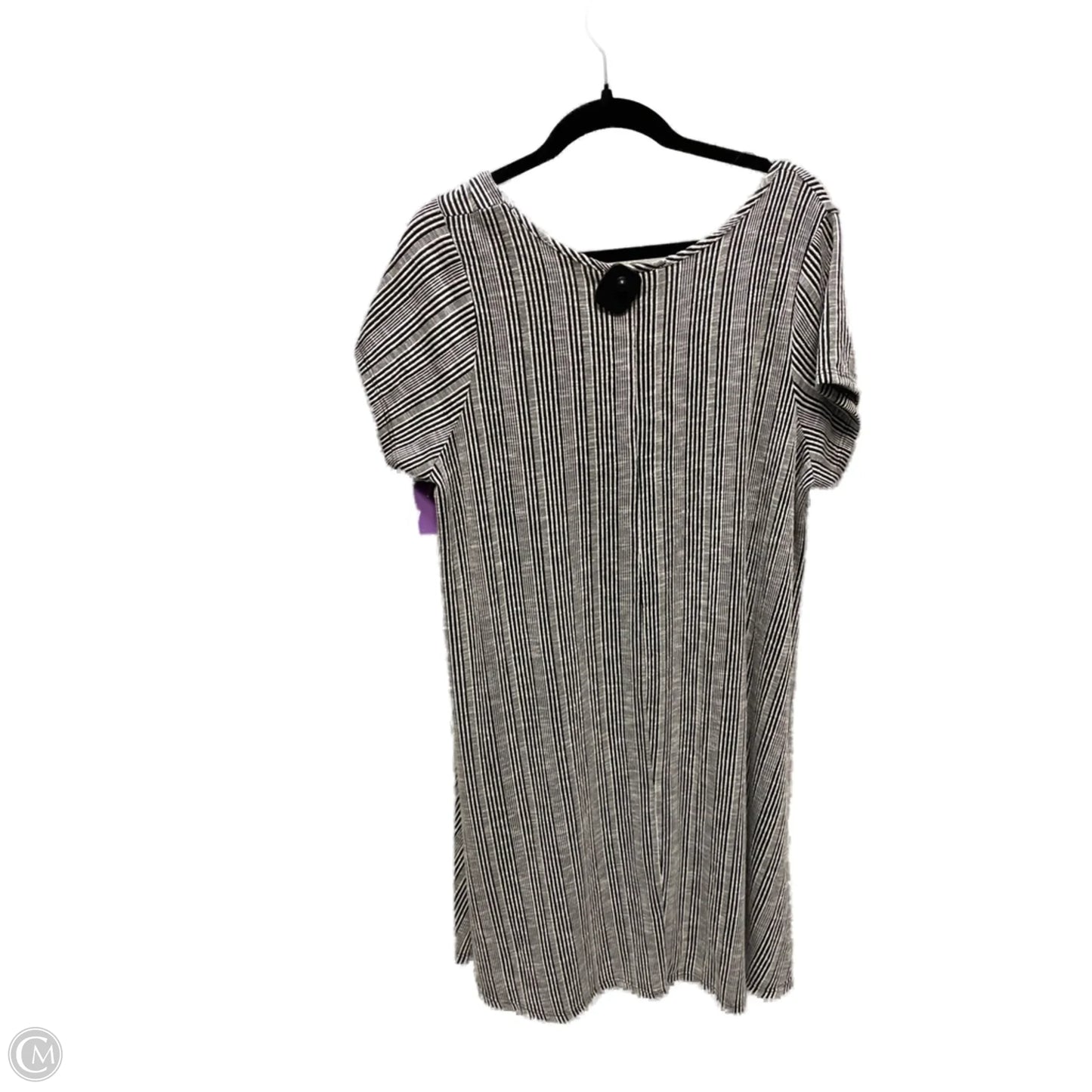 Dress Casual Short By Clothes Mentor In Striped Pattern, Size: 3x