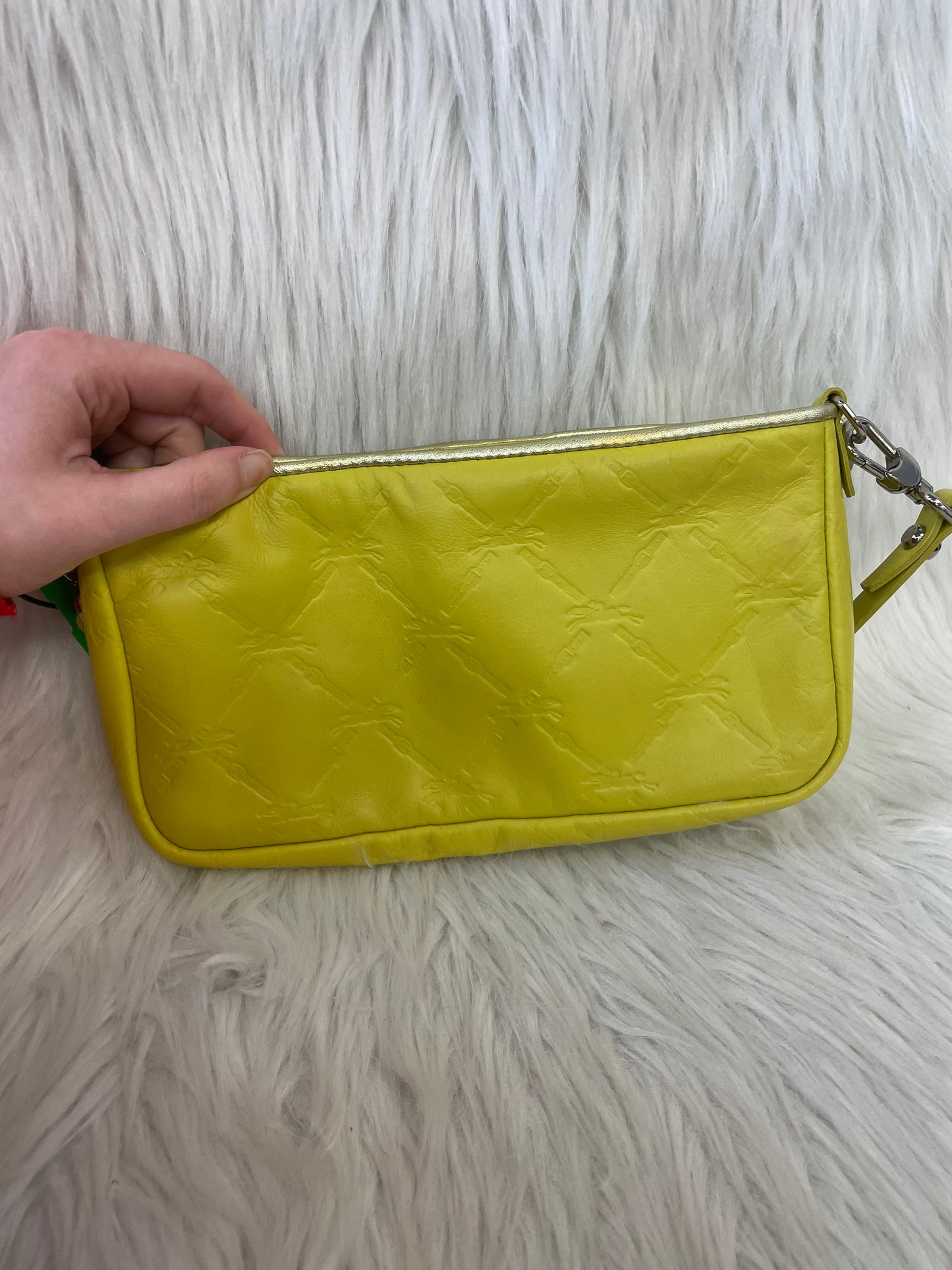Handbag Designer By Longchamp In Green, Size:Small