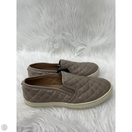 Shoes Flats By Steve Madden In Brown, Size: 9