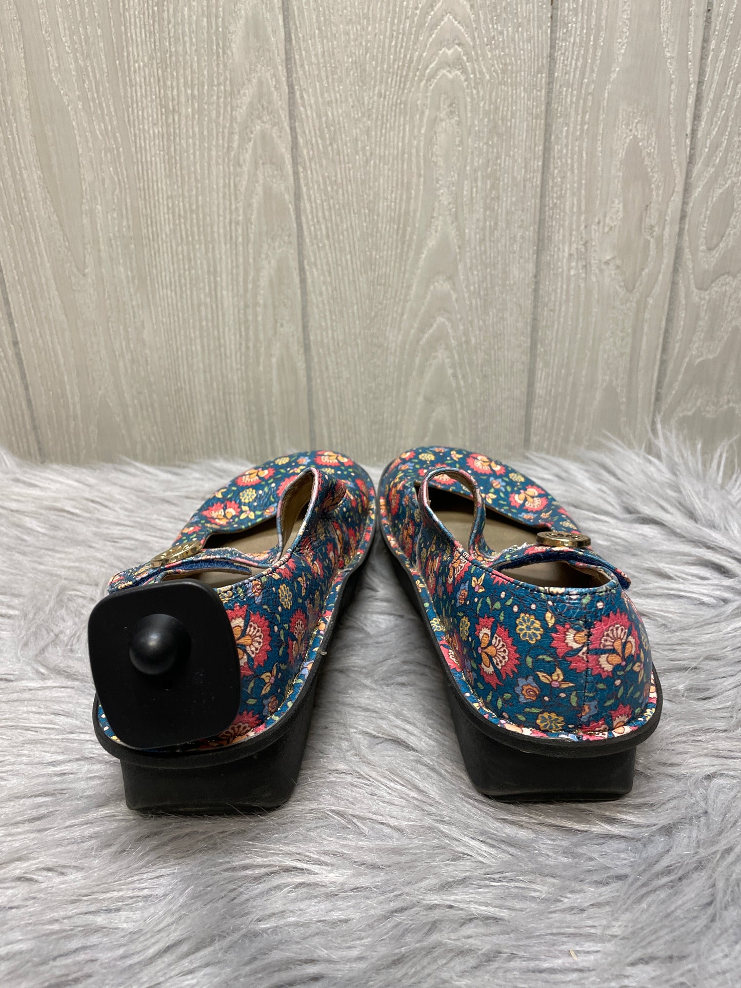 Shoes Heels Wedge By Alegria In Floral Print, Size: 8