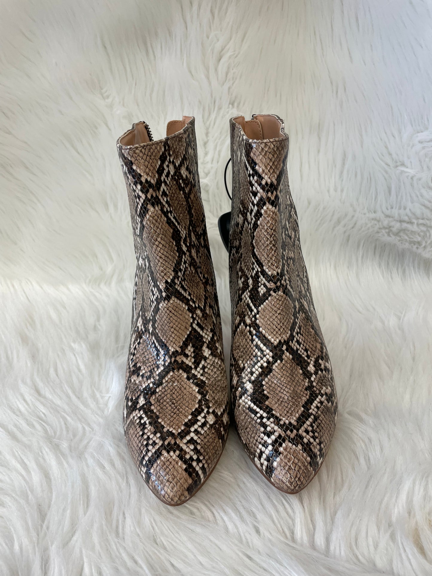 Boots Ankle Heels By Dolce Vita In Snakeskin Print, Size: 8