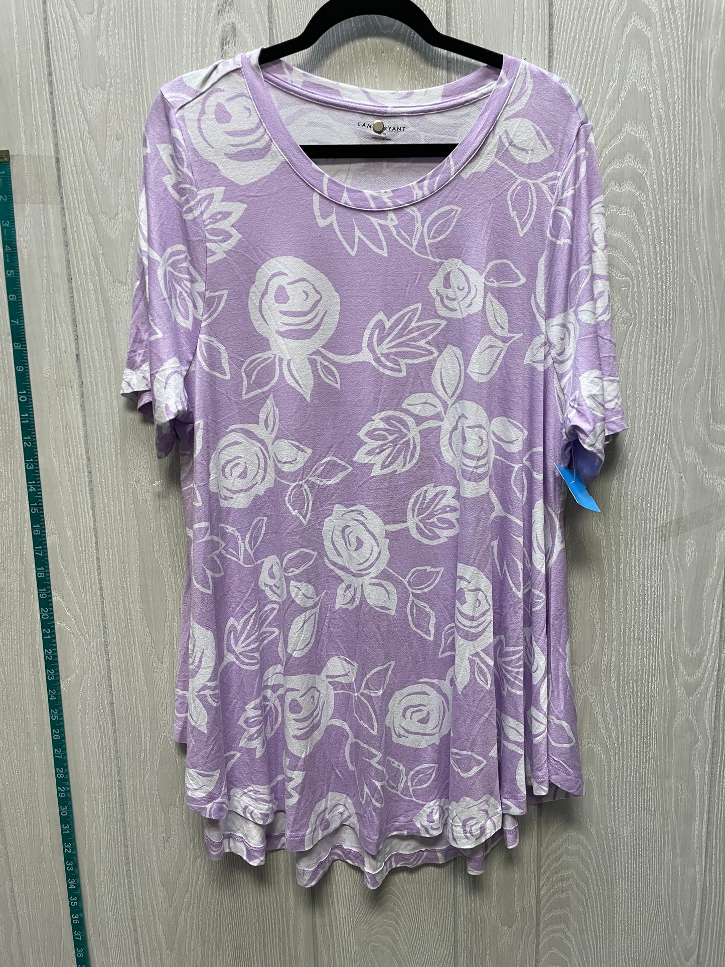 Top Short Sleeve By Lane Bryant In Purple & White, Size: 1x