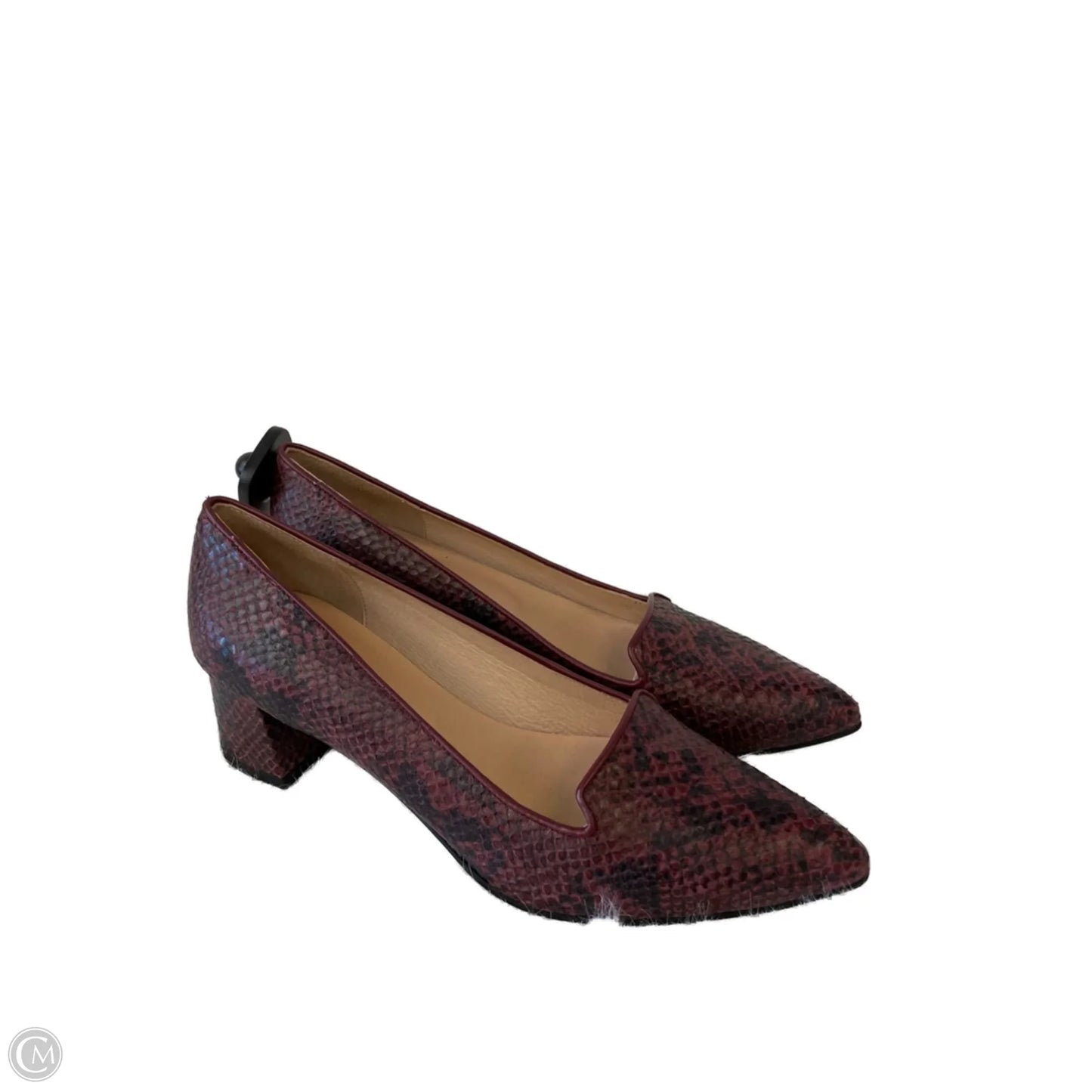 Shoes Heels Block By french sole fsny In Snakeskin Print, Size: 7