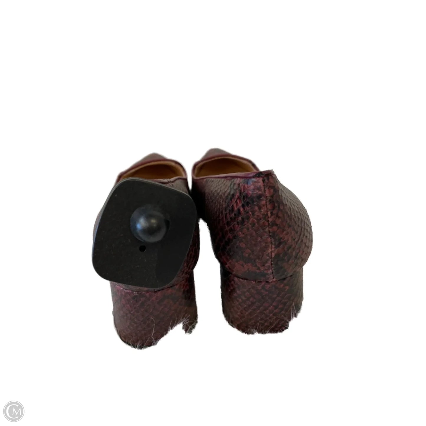 Shoes Heels Block By french sole fsny In Snakeskin Print, Size: 7
