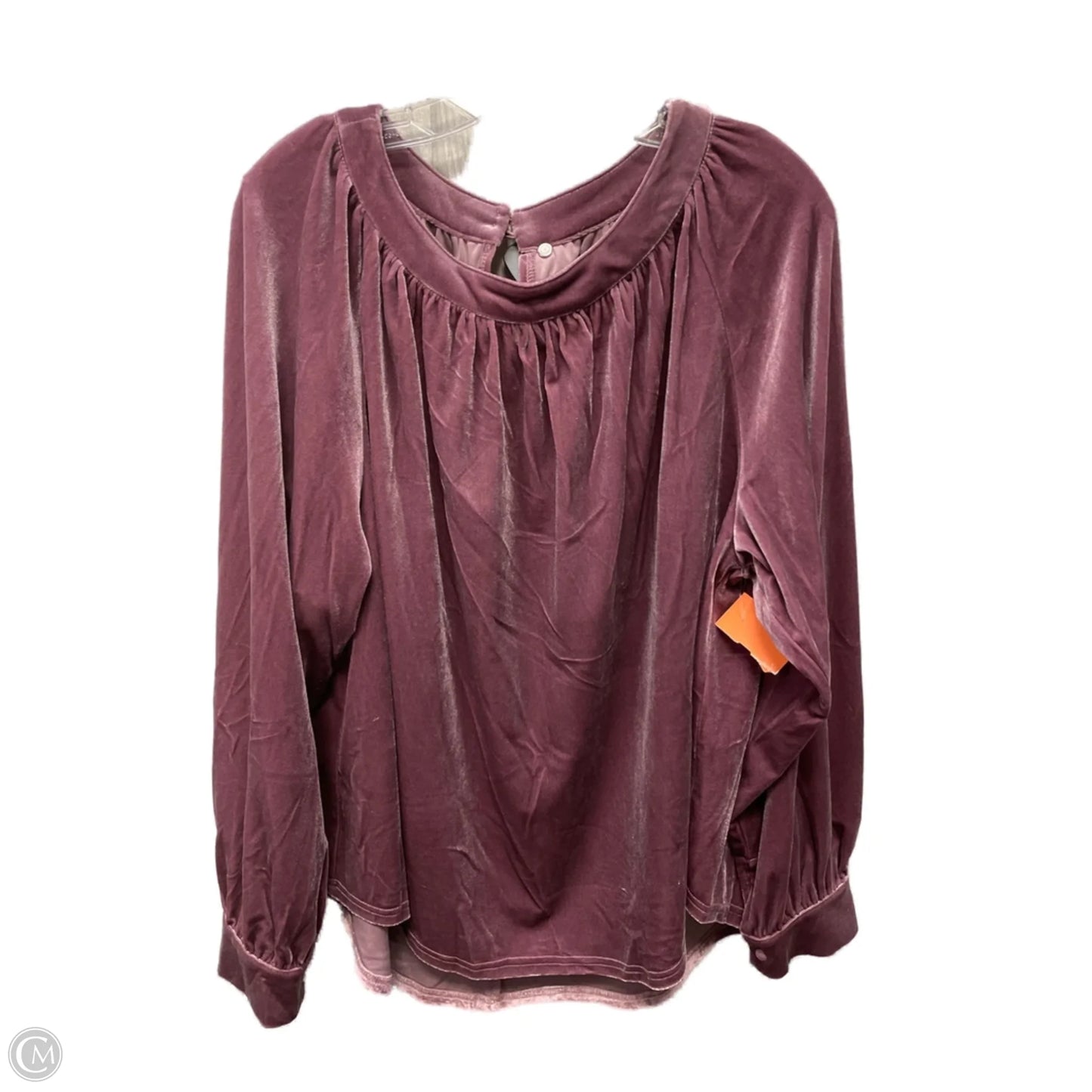 Blouse Long Sleeve By Clothes Mentor In Purple, Size: Xl