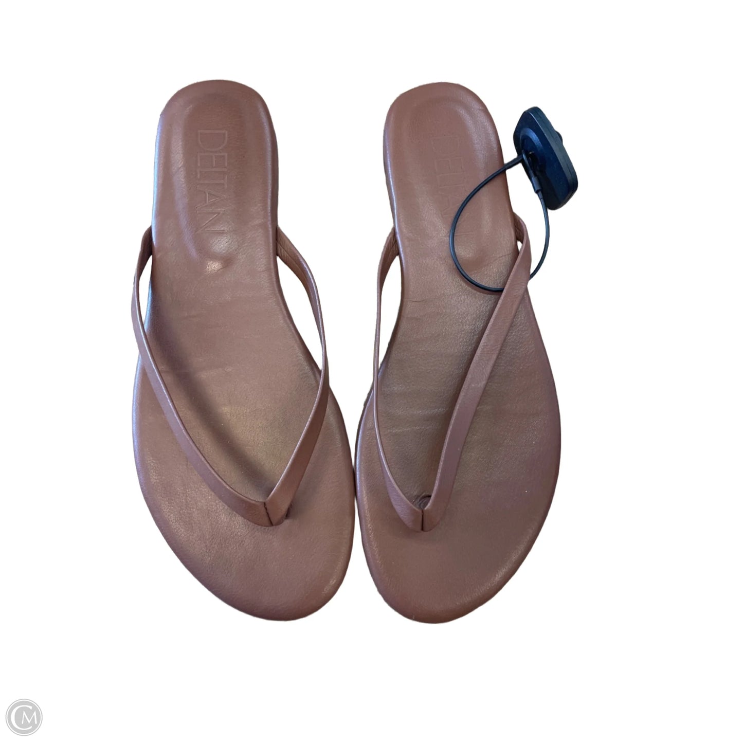 Sandals Flats By Clothes Mentor In Brown, Size: 9