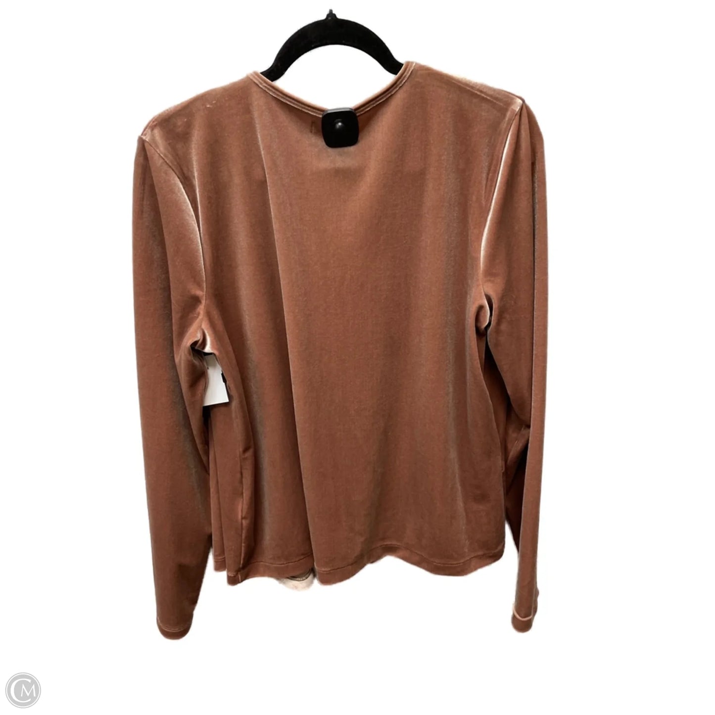 Top Long Sleeve By Madewell In Brown, Size: Xl