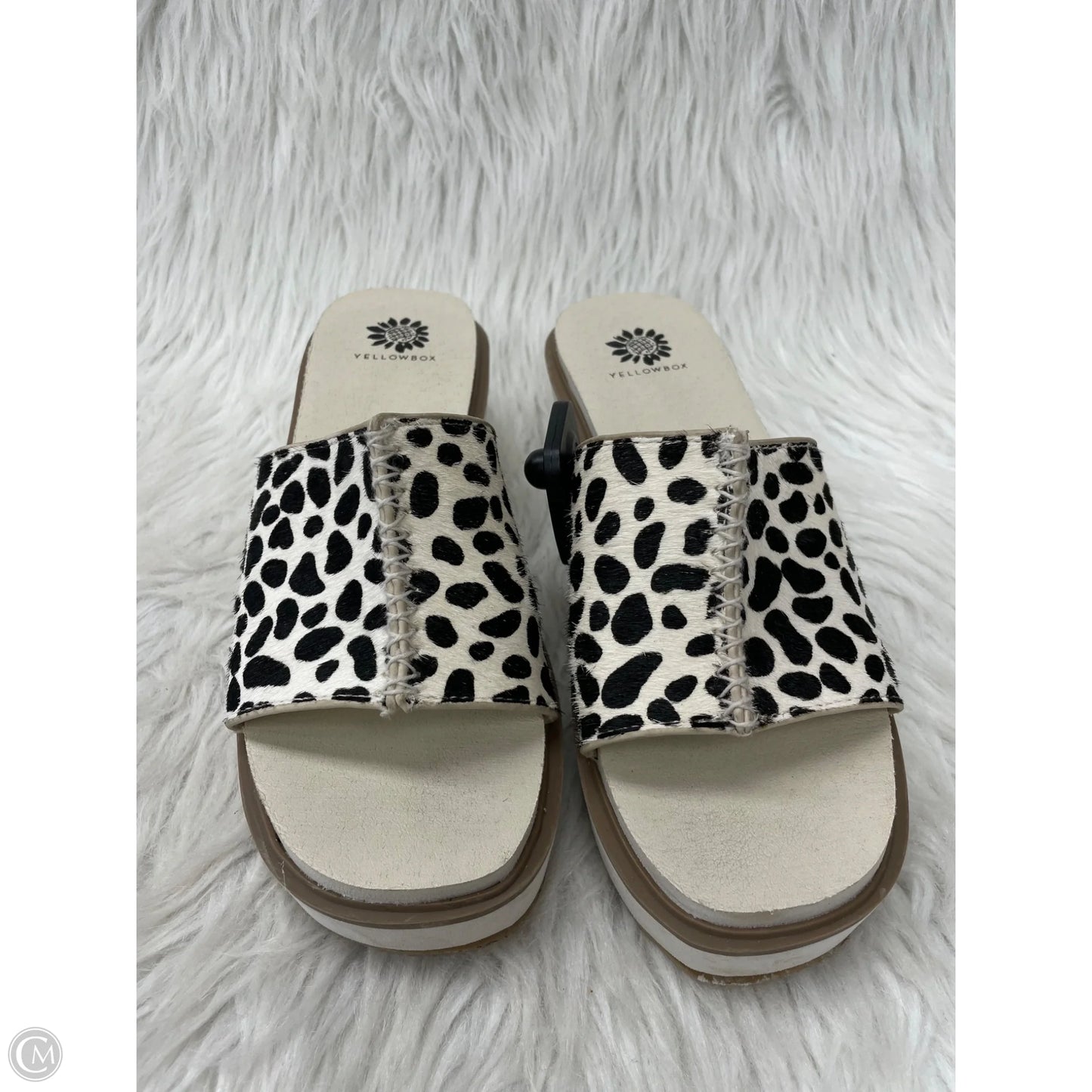 Pants Wide Leg By Chaus In Black, Size: 16