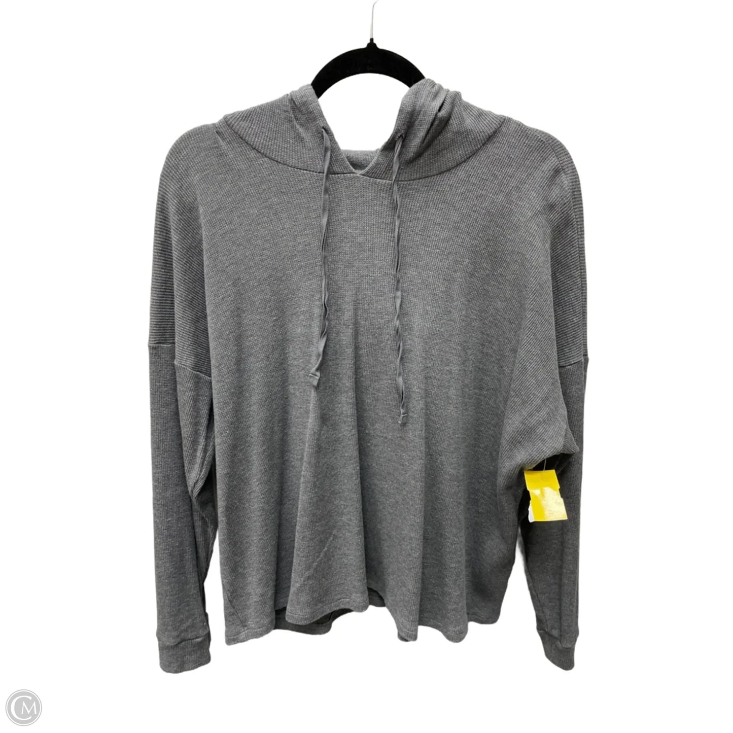 Top Long Sleeve By Eileen Fisher In Grey, Size: Xl