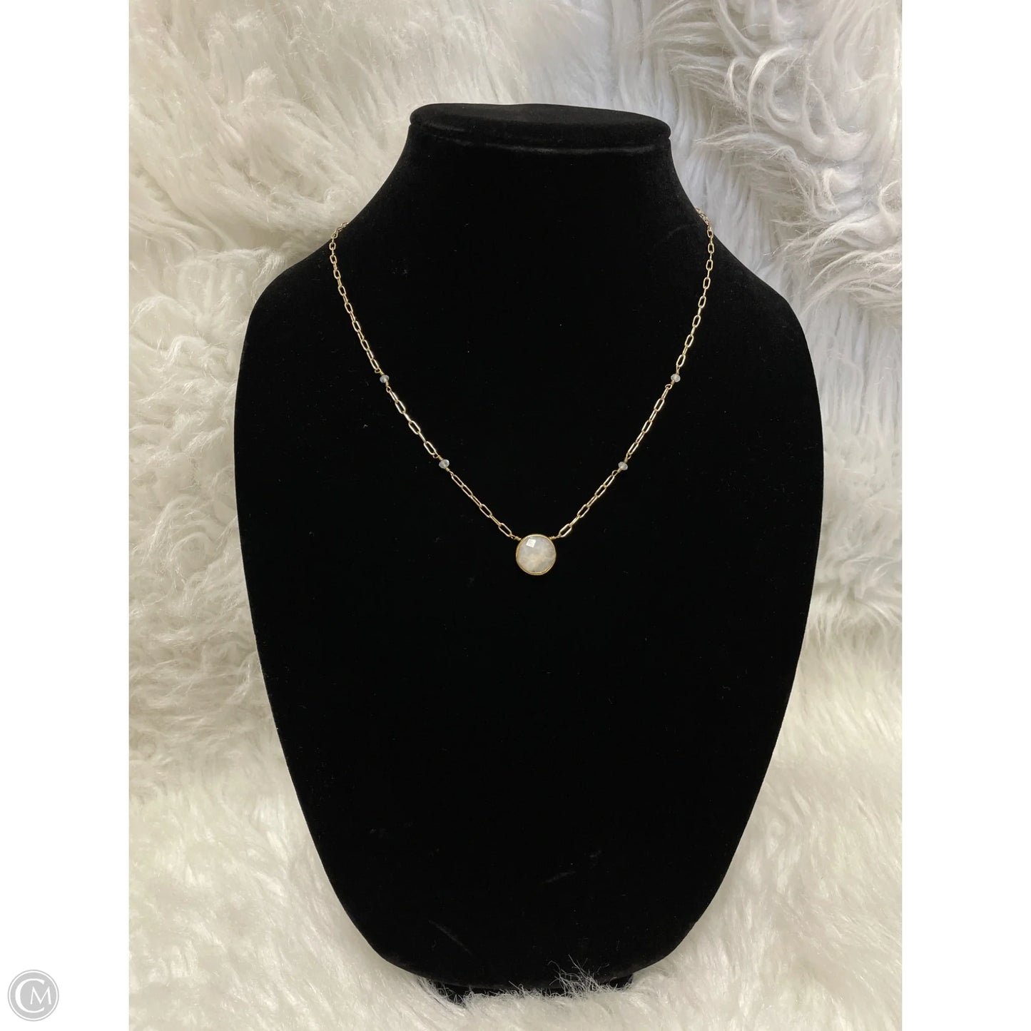 Necklace Pendant By Clothes Mentor