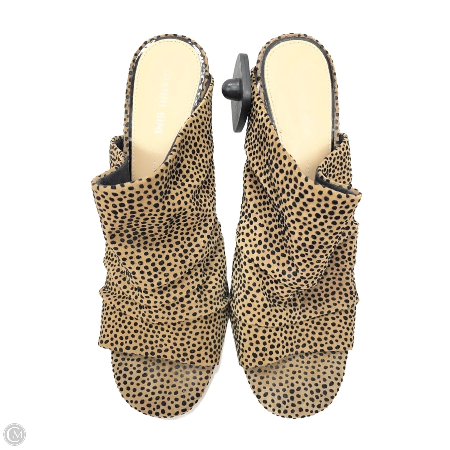 Shoes Heels Block By Gianni Bini In Leopard Print, Size: 9