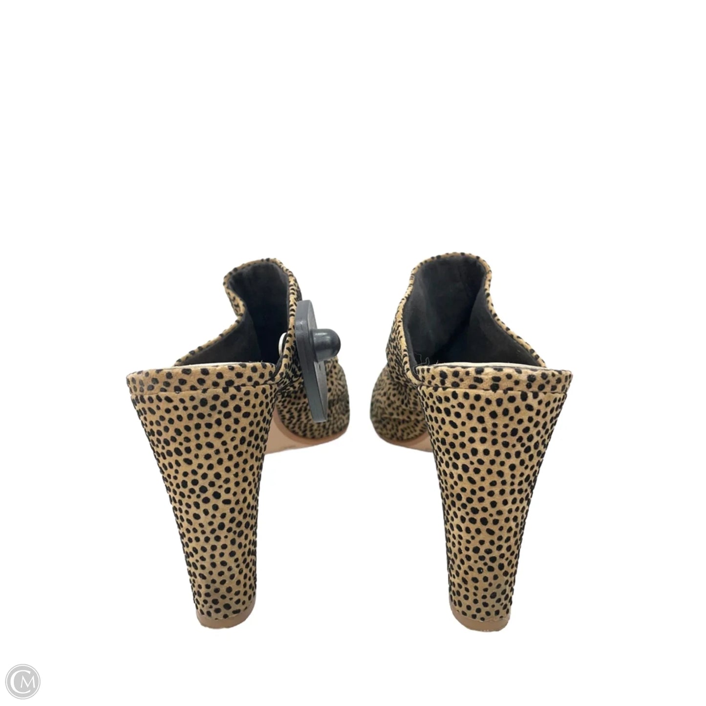 Shoes Heels Block By Gianni Bini In Leopard Print, Size: 9