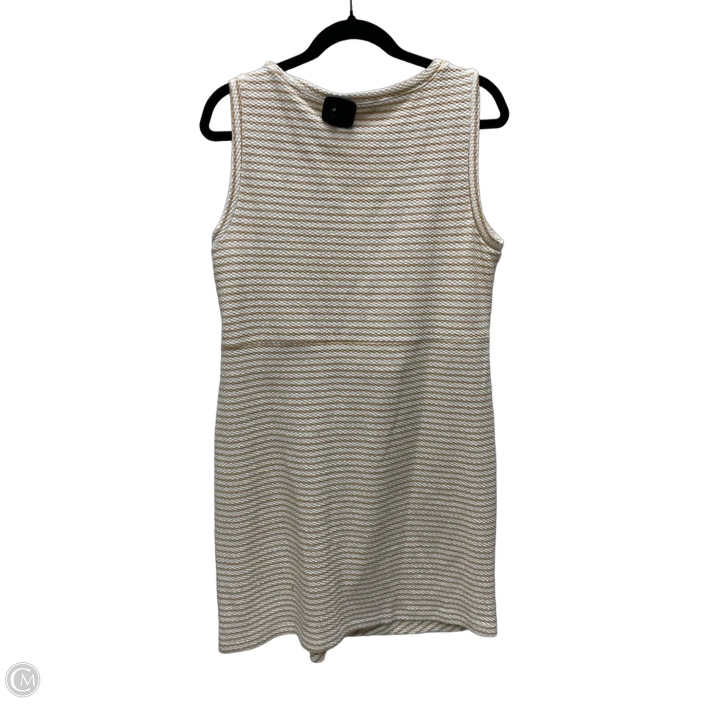 Dress Casual Short By Loft In Striped Pattern, Size: L