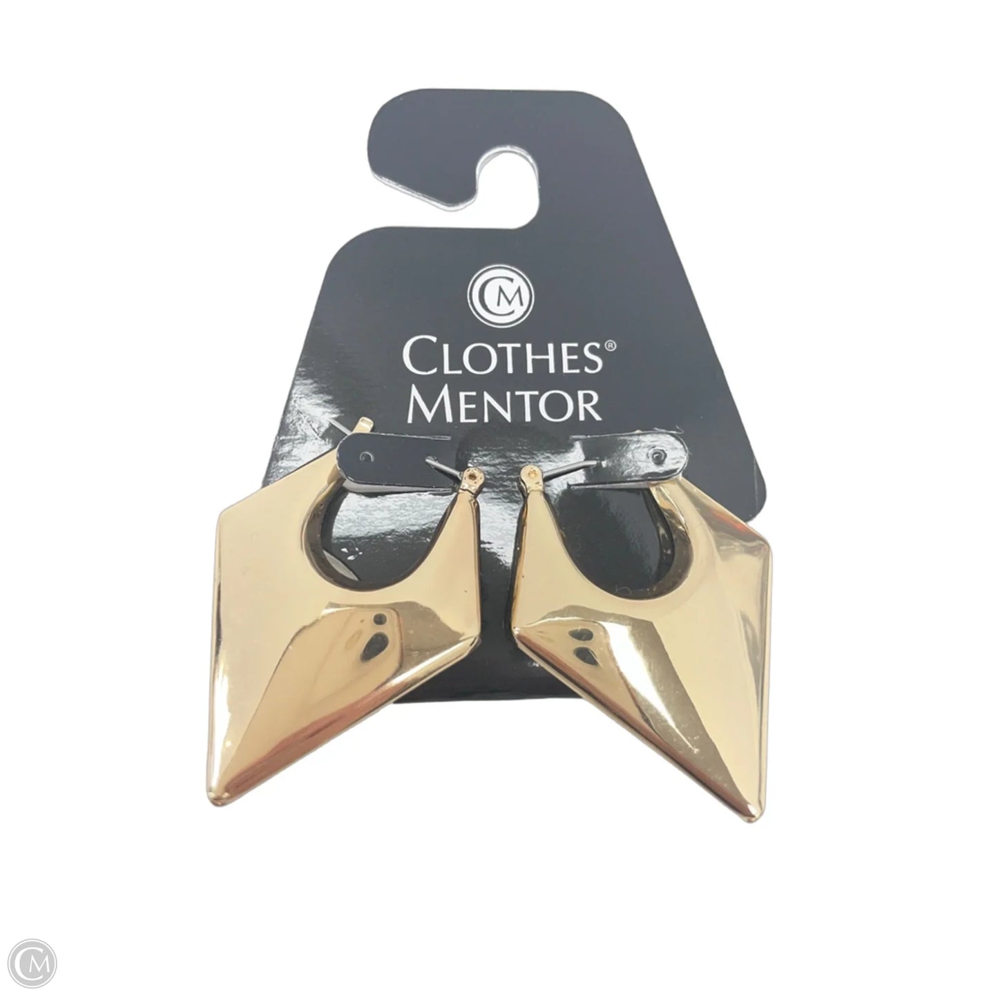Earrings Dangle/drop By Clothes Mentor
