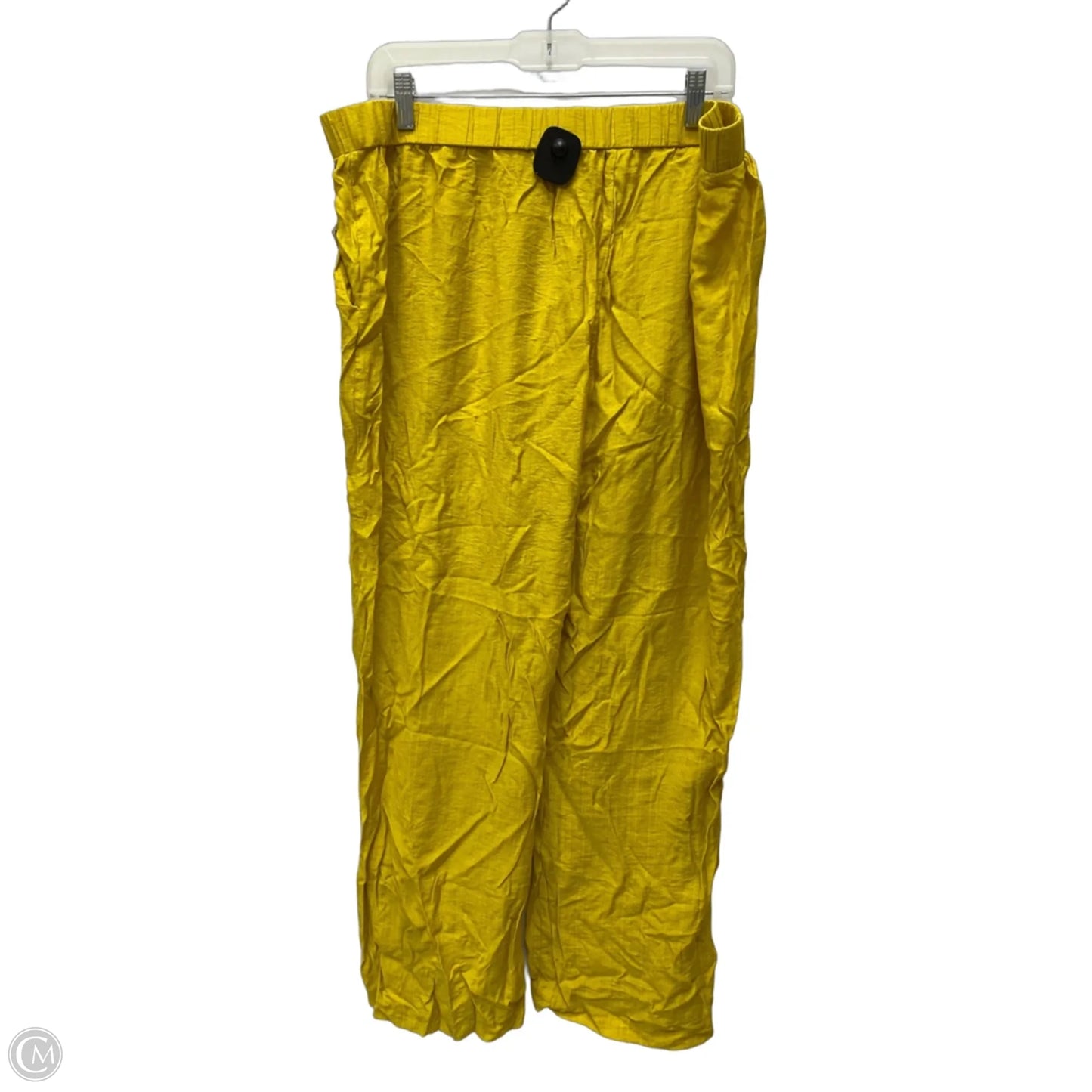 Pants Set 2pc By Shein In Yellow, Size: 2x