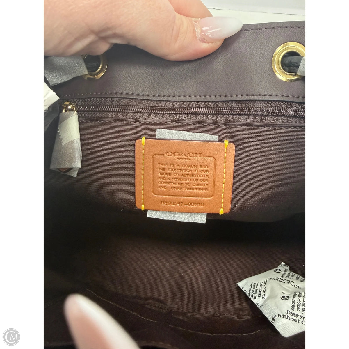 Backpack Designer By Coach, Size: Small