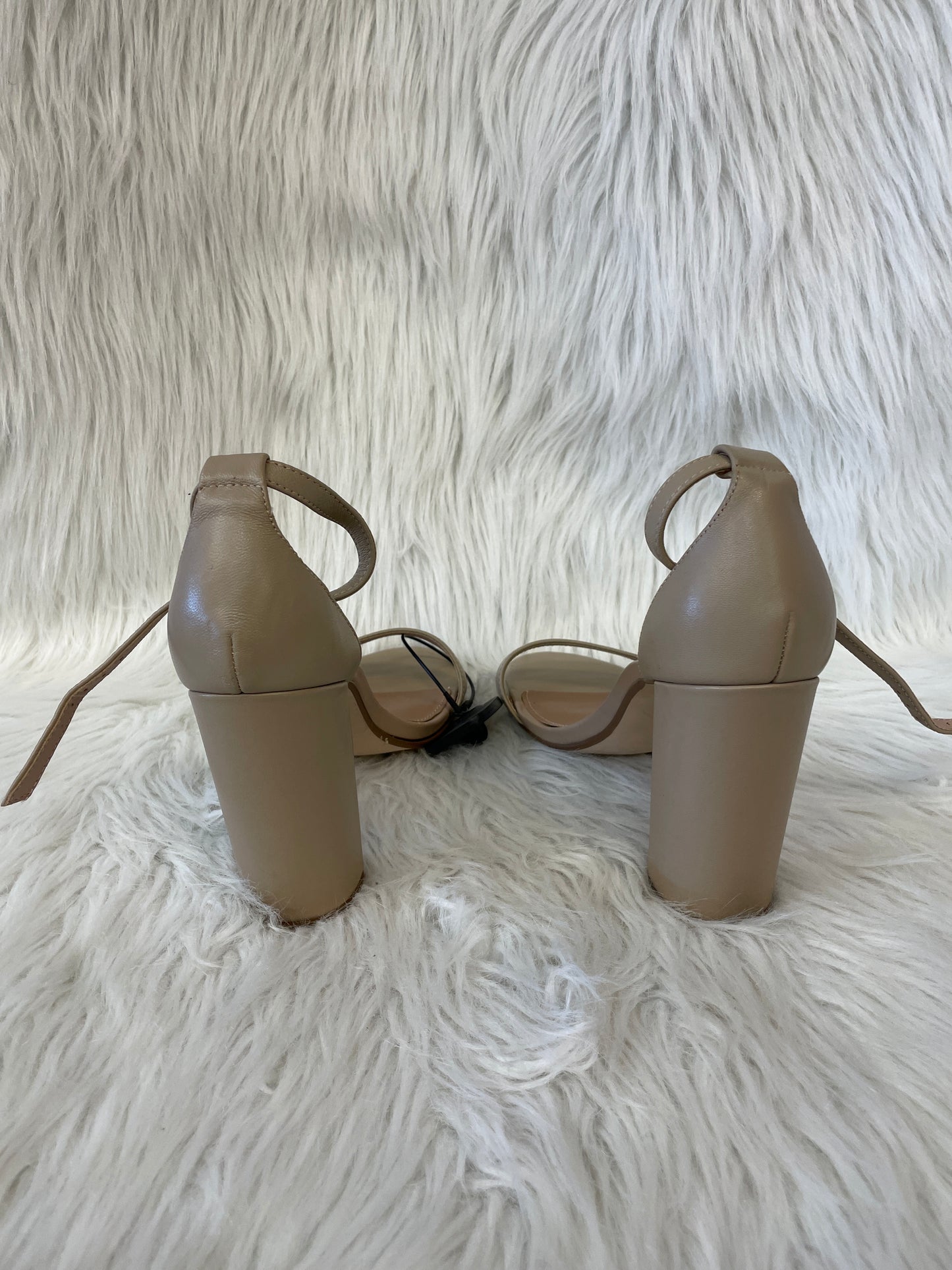 Tan Sandals Heels Block Steve Madden, Size 10