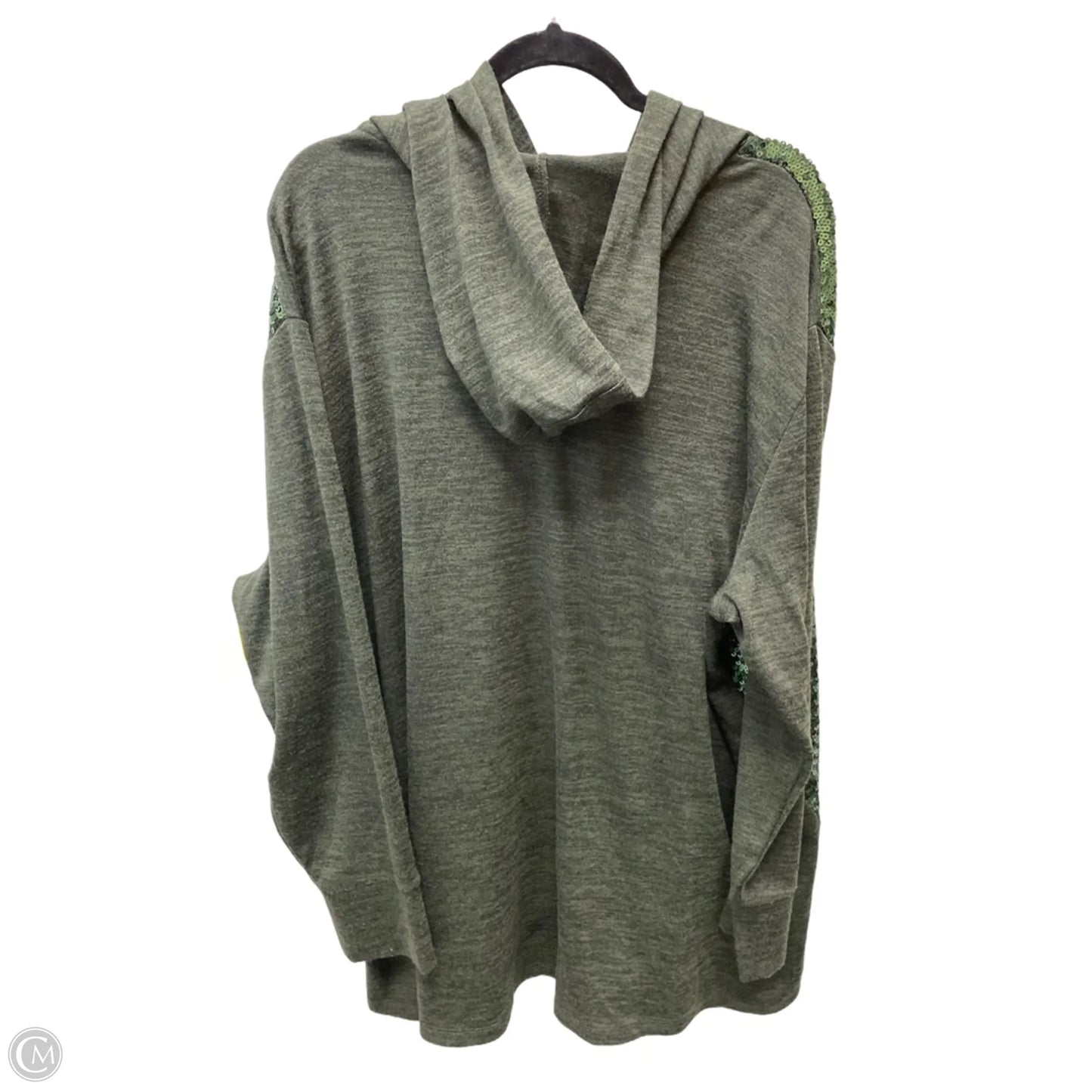 Top Long Sleeve By Colleen Lopez In Grey, Size: 3x