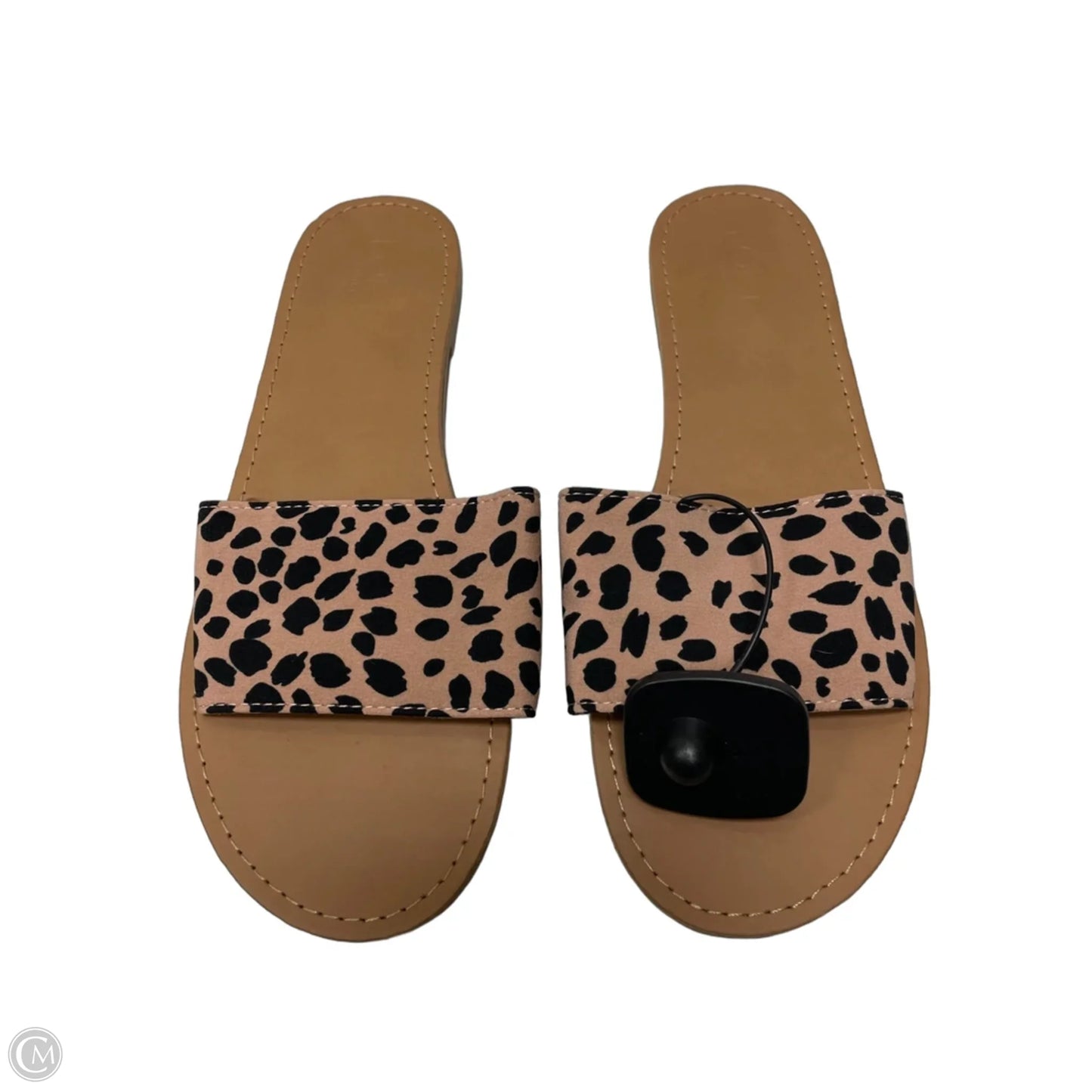 Sandals Flats By Loft In Animal Print, Size: 10