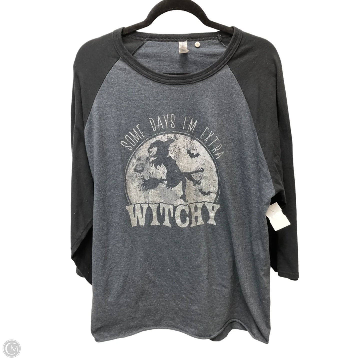 Top 3/4 Sleeve By Jerzees In Grey & Silver, Size: 2x