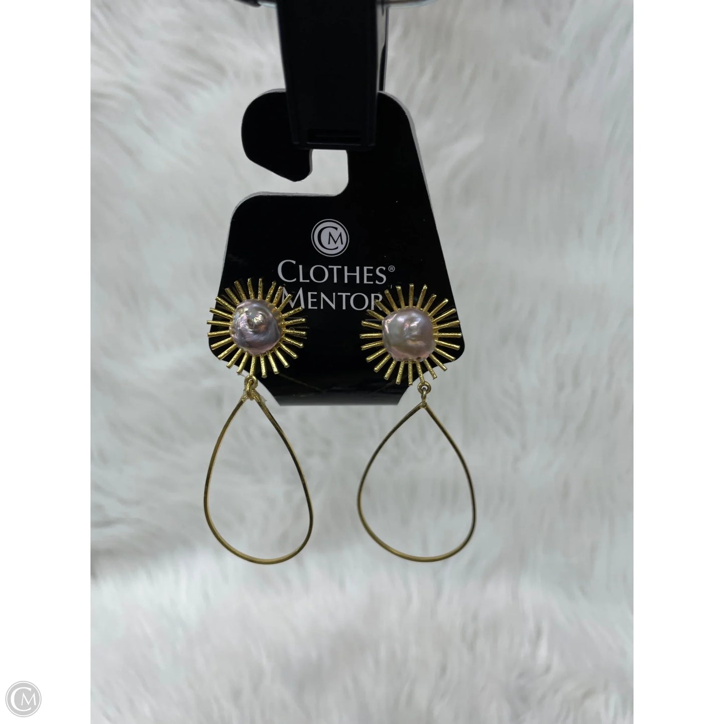 Earrings Dangle/drop By Clothes Mentor