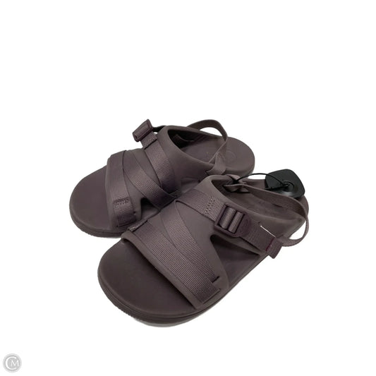 Sandals Flats By Chacos In Purple, Size: 8