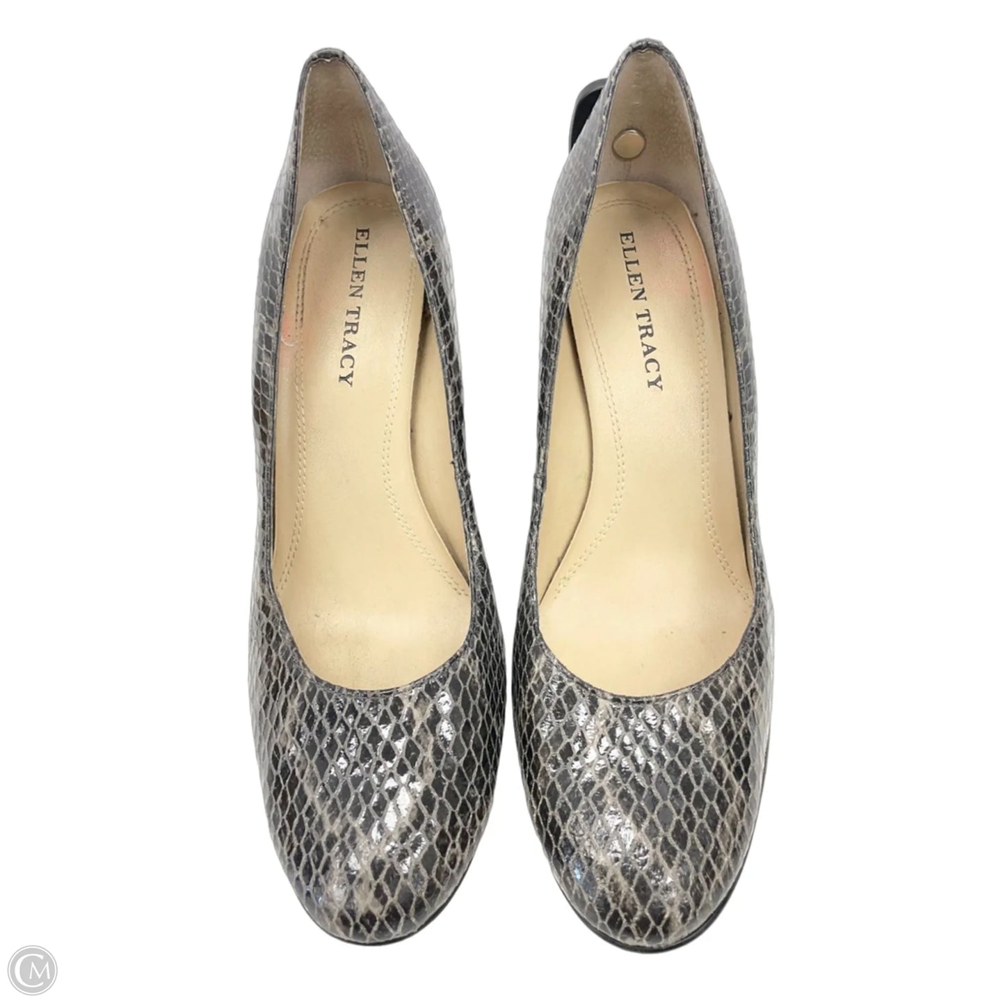 Shoes Heels Wedge By Ellen Tracy In Snakeskin Print, Size: 8.5