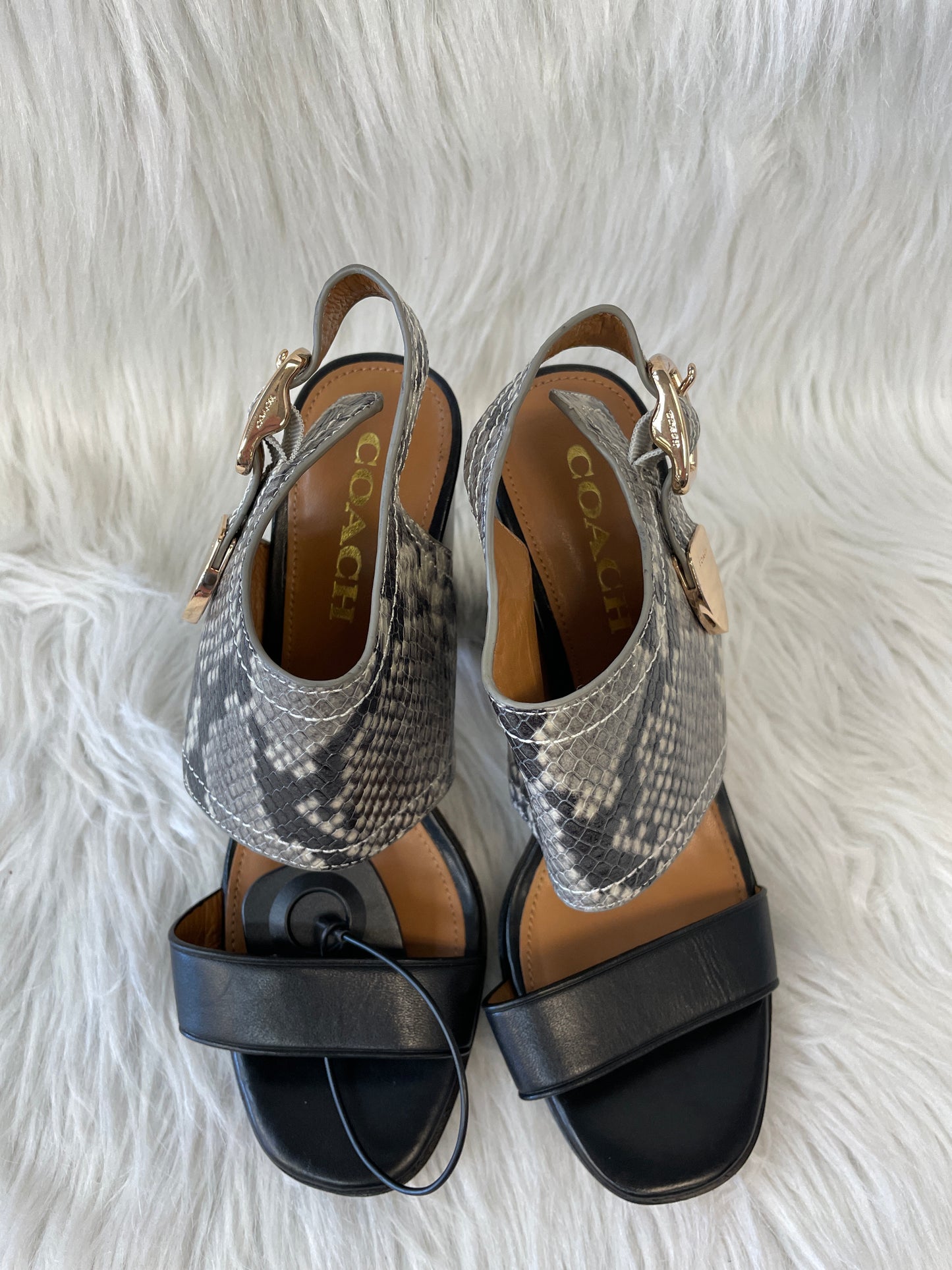 Snakeskin Print Sandals Designer Coach, Size 6.5