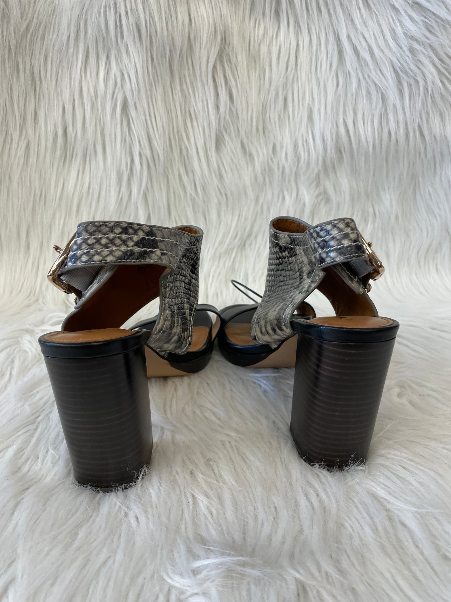 Snakeskin Print Sandals Designer Coach, Size 6.5