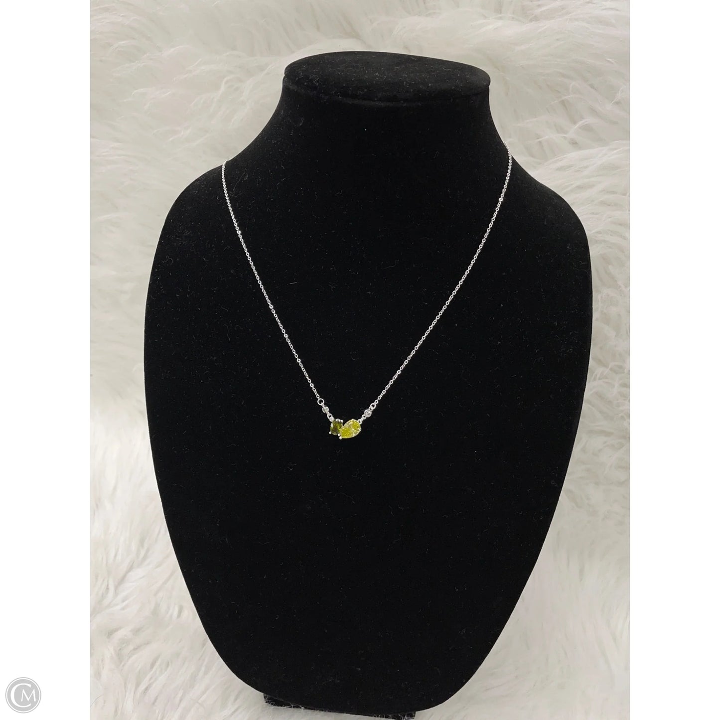 Necklace Chain By Clothes Mentor