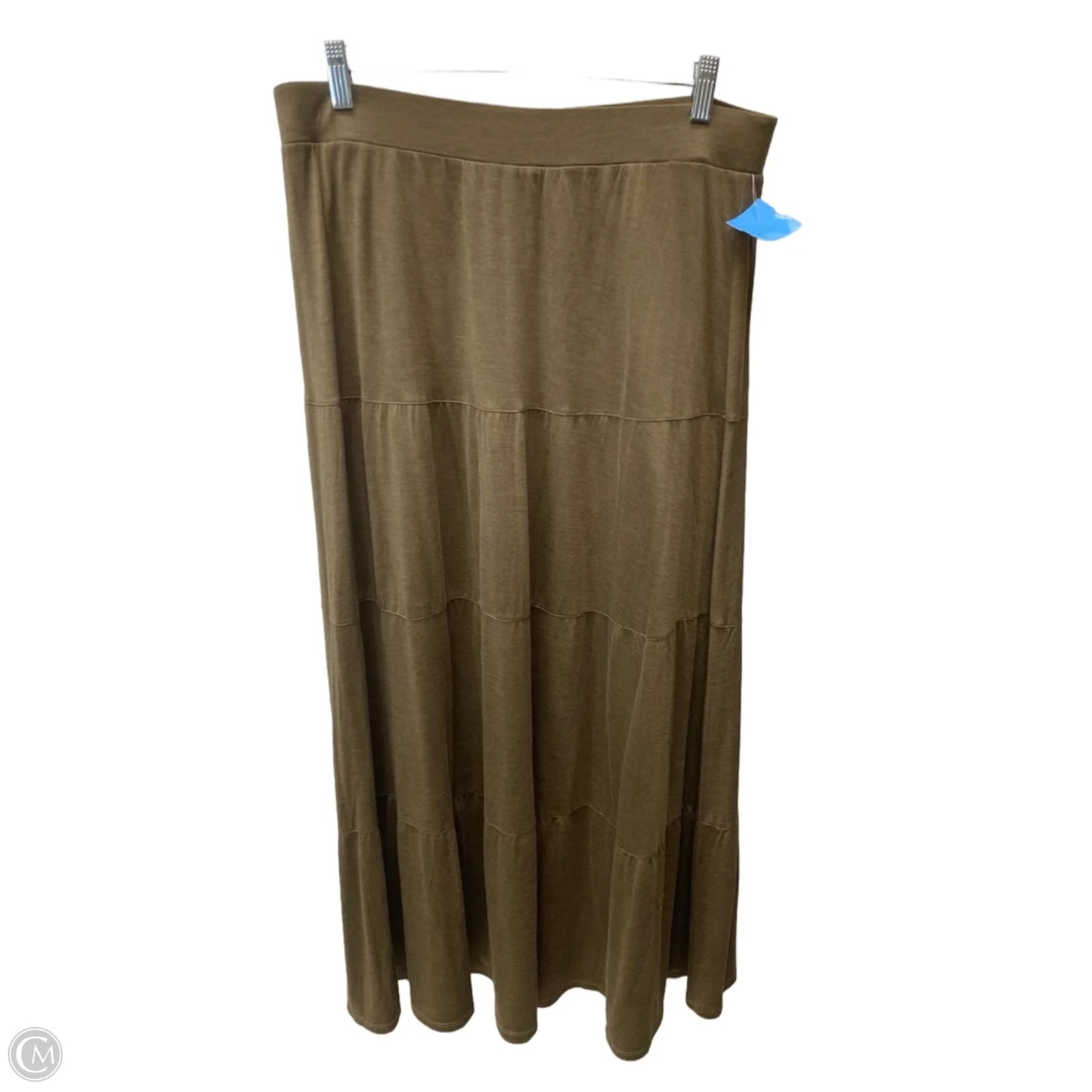 Skirt Maxi By Eileen Fisher In Brown, Size: 8