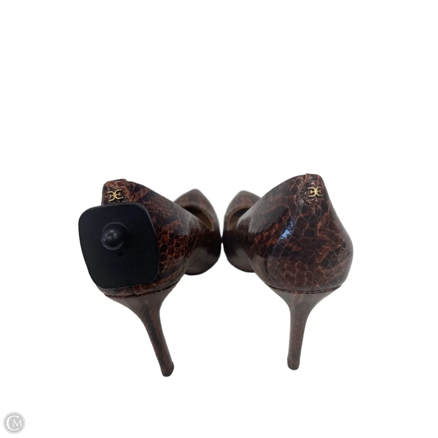 Shoes Heels Stiletto By Sam Edelman In Snakeskin Print, Size: 11